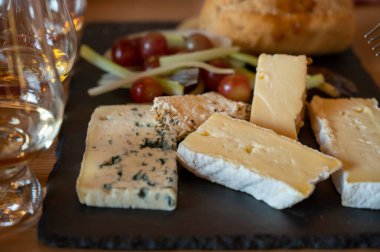 Pairing of scotch whiskies and farmers scottish cheeses cheddar, stilton, blue cheese, brie, tasting of whiskey and cheese in Edinburgh, UK