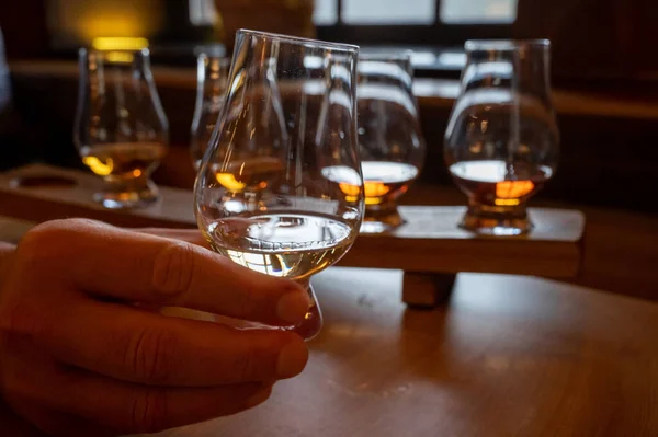 Flight Single Malt Scotch Whisky Glasses Served Bar Edinburgh Tasting — Stock fotografie