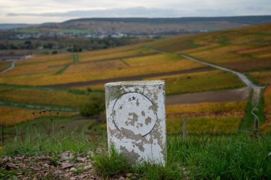 Epernay, Champange, Fransa yakınlarındaki Hautvillers köyündeki renkli şampanya bağlarının panoramik otomatik görüntüsü