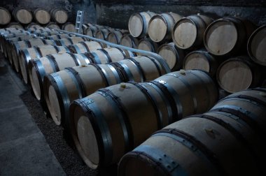 Stages of wine production from fermentation to bottling, visit to wine cellars in Cote d'Or, Burgundy, France, Aging in wooden barrels.