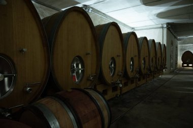 Stages of wine production from fermentation to bottling, visit to wine cellars in Cote d'Or, Burgundy, France, Aging in wooden barrels.