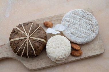 Fransa 'nın tadı, küçük yuvarlak peynir Tome de Provence, keçi peyniri ve kestane yapraklarına sarılmış dağ peyniri banonu, Alpes-de-Haute-Provence, Fransa. Tatlı peynir tahtası.