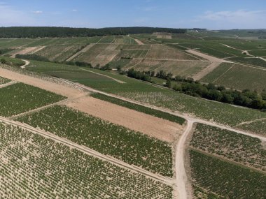 Aerial view on green vineyards and villages near Mont Brouilly, wine appellation Cote de Brouilly beaujolais wine making area along Beaujolais Wine Route,  France