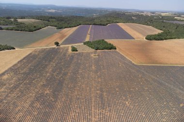 Aerial view on green vineyards and villages near Mont Brouilly, wine appellation Cote de Brouilly beaujolais wine making area along Beaujolais Wine Route,  France