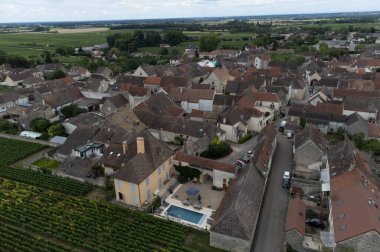 Aerial view on green vineyards and Puligny-Montrachet village, production of high quality famous French white wine in region Burgundy, France
