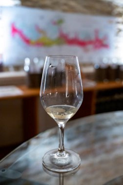 Wine tasting in underground cellars caves of French wine domain in Puligny-Motrachet village, Burgundy, France with map of Burgundy wine appelations and soils on background.