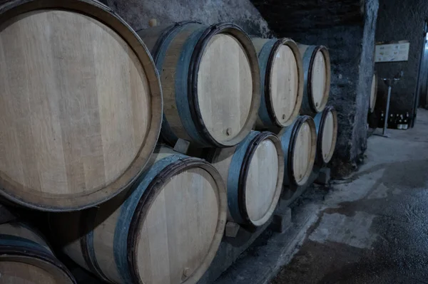 Stages Wine Production Fermentation Bottling Visit Wine Cellars Cote Burgundy — Fotografia de Stock