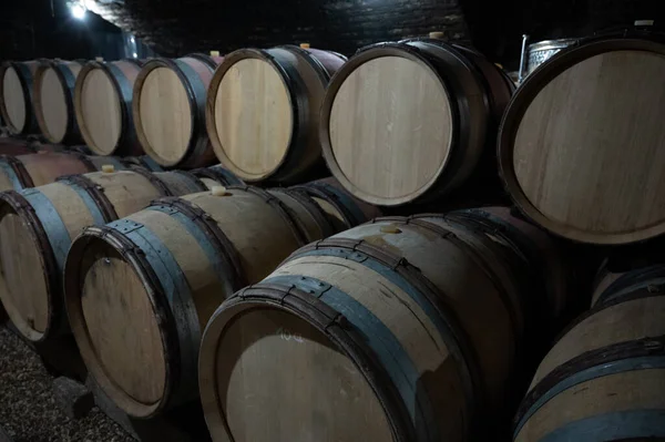 Stages Wine Production Fermentation Bottling Visit Wine Cellars Cote Burgundy — Stockfoto