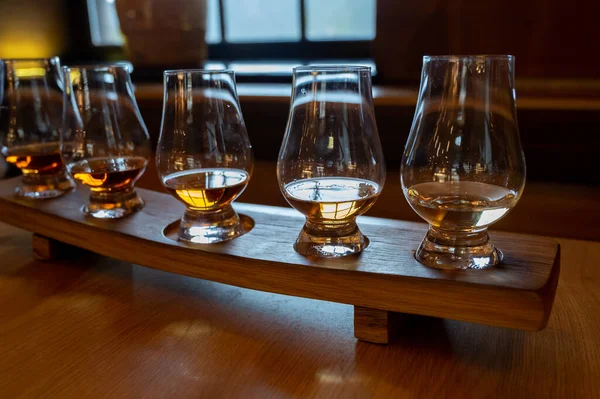 Flight Single Malt Scotch Whisky Glasses Served Bar Edinburgh Tasting — Fotografia de Stock