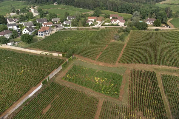 Aerial View Green Vineyards Villages Mont Brouilly Wine Appellation Cote — Stockfoto