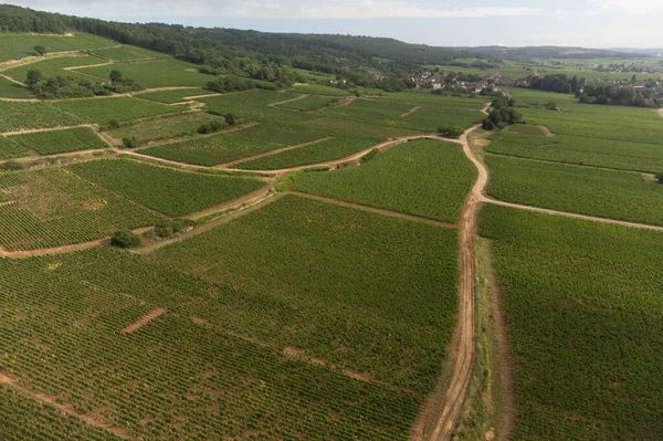 Aerial View Green Vineyards Villages Mont Brouilly Wine Appellation Cote — Stock Photo, Image