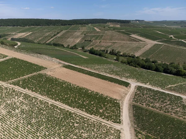 Aerial View Green Vineyards Villages Mont Brouilly Wine Appellation Cote — Stok fotoğraf