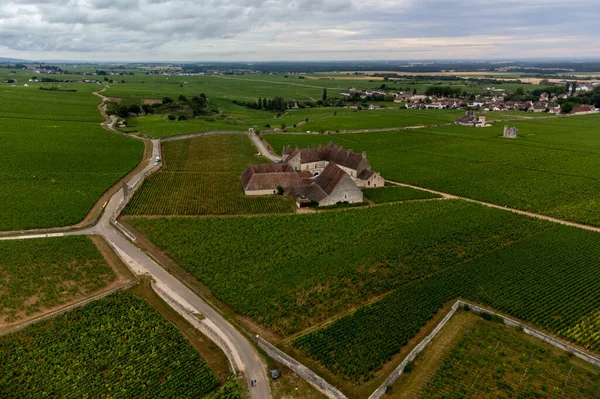Aerial view on green vineyards and villages near Mont Brouilly, wine appellation Cote de Brouilly beaujolais wine making area along Beaujolais Wine Route,  France