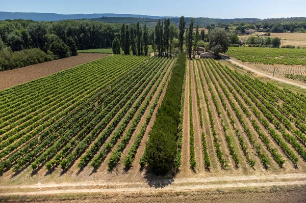 Aerial View Green Vineyards Villages Mont Brouilly Wine Appellation Cote — Stock Photo, Image