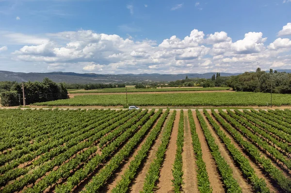 Aerial View Green Vineyards Villages Mont Brouilly Wine Appellation Cote — Foto de Stock