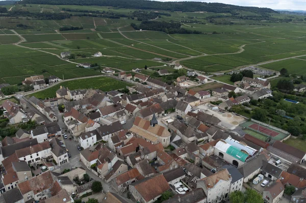 Aerial View Green Vineyards Puligny Montrachet Village Production High Quality — Stockfoto