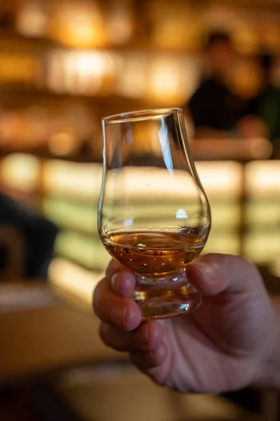 Tasting Single Malt Scotch Whisky Scottish Bar Edinburgh Hand Glass — Stock Fotó