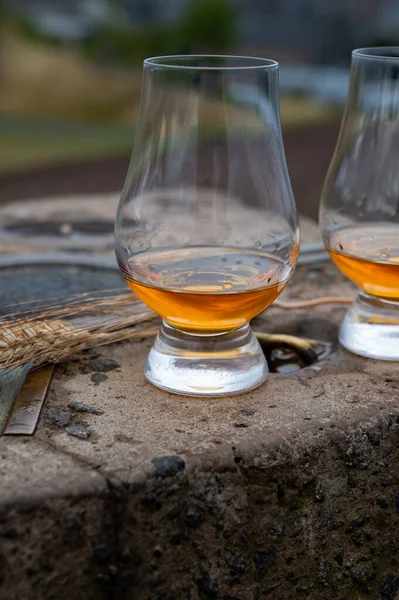 Tasting Single Malt Scotch Whisky Glasses Panoramic View Calton Hill — Stock fotografie