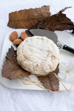 Pastörize edilmemiş keçi sütünden kestane yapraklarına sarılı Fransız peyniri banonu.