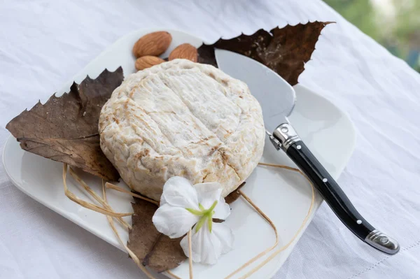 アルプ オート県産のフランス産山産チーズバノンを栗の葉で包んだもの — ストック写真