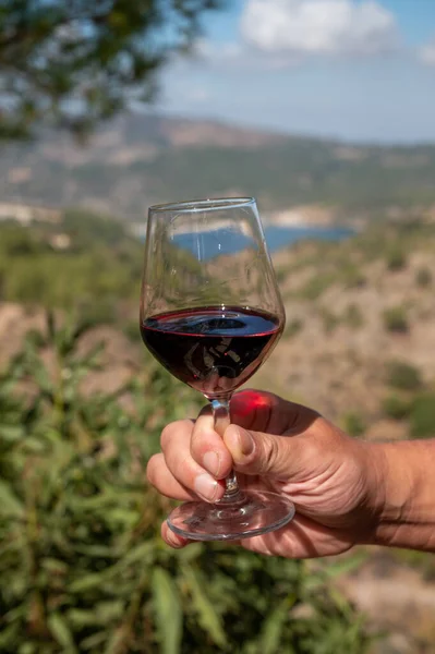 Tasting of red wine on vineyards of Cyprus. Wine production on Cyprus, tourists wine route and visiting of wineries.