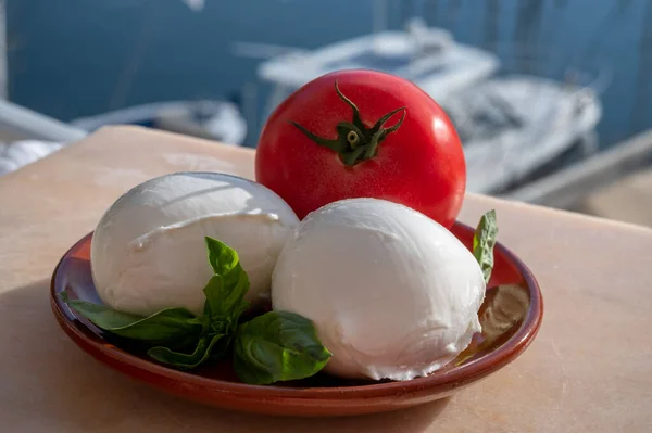토마토와바질 부드러운 이탈리아 모차렐라 부팔라 밖에서 제공되었다 — 스톡 사진