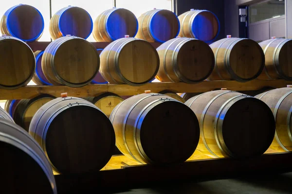 深い地下の洞窟の中を木製の樽で歩き シャルドネのシャンパン スパークリングワインとエペルネーのピノ ノワール ブドウ シャンパン フランス — ストック写真