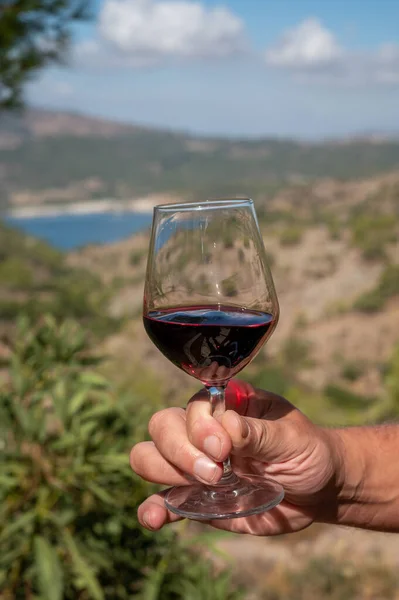 Tasting of red wine on vineyards of Cyprus. Wine production on Cyprus, tourists wine route and visiting of wineries.