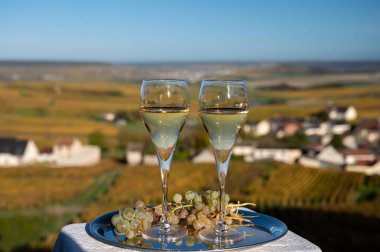 Fransız köpüklü beyaz şarabının tadına bakmak açık terasta şampanya içmek Epernay, Fransa yakınlarındaki Cramant köyünde renkli büyük cru şampanya bağları manzaralı