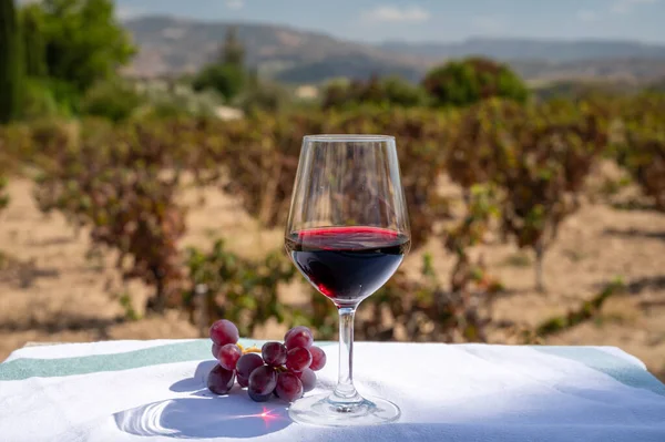 Ochutnávka Červeného Vína Kyperských Vinicích Výroba Vína Kypru Turisté Vinařská — Stock fotografie