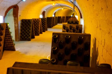Uzun yeraltı mağaralarında tozlu şişelerle yürümek, şarap ve şarap yapmak Epernay, Şampanya, Fransa 'da kara üzümler