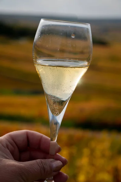 Degustazione Spumante Brut Champagne All Aperto Con Vista Sul Colorato — Foto Stock