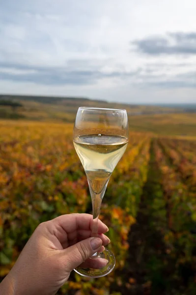 10月に村のカラフルな壮大なクルシャンパーニュのブドウ畑を眺めながら屋外テラスでシャンパンとフランスの輝く白ワインの試飲エペルネー近く フランス — ストック写真