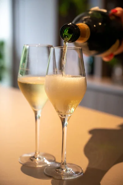 stock image Tasting of brut and reserve grand cru champagne sparkling wine produced by traditional method in underground caves in Champagne, France, close up