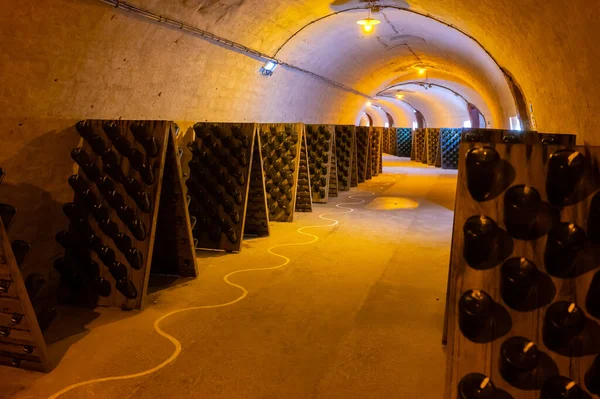 Walking in deep long undergrounds caves with dusty bottles on racks, making champagne sparkling wine from chardonnay and pinor noir grapes in Epernay, Champagne, France