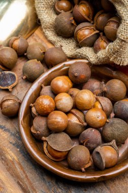 Taze taze Avustralya Macadamia fındığı hasadı kabuklu ve yapraklı.