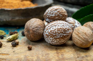 Nutmeg tozu. Makro manzaralı, fındıklı ve rendelenmiş muscat fındıklı. Kapat.