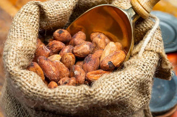 Fagioli Cacao Cacao Utilizzati Bevande Calde Cioccolato Cioccolato Burro Solidi — Foto Stock
