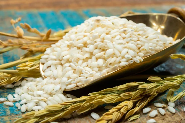 İtalyan pilavı pilavı pilavı pilavı pilavı yapmak için kullanılır.
