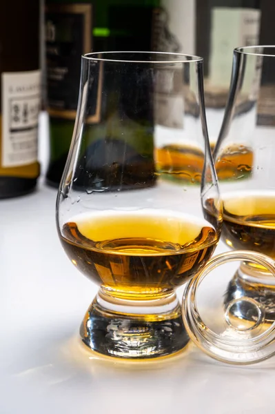 Verkostung Von Whisky Tulpenförmigen Probiergläsern Mit Einem Schuss Scotch Single — Stockfoto