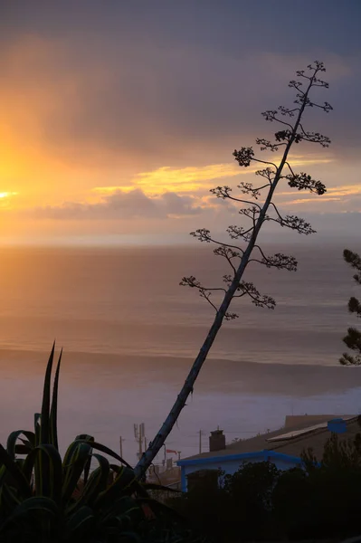 Stock image Magoito Beach on Atlantic ocean at sunset, beautiful sandy beach on Sintra coast, Lisbon district, Portugal, part of Sintra-Cascais Natural Park with natural points of interest