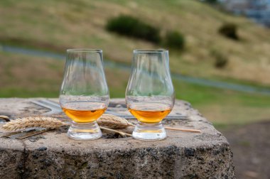 Tasting of single malt scotch whisky in glasses with panoramic view from Calton hill to new and old parts of Edinburgh city in rainy summer day, Scotland, UK