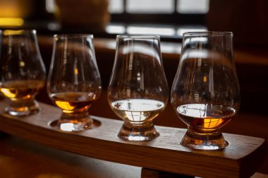 Flight of single malt scotch whisky in glasses served in bar in Edinburgh, UK, tasting of dram of whiskey