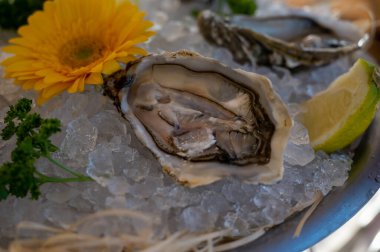 Fransız restoranında buzda limonla servis edilen taze açık istiridye deniz ürünleri yenmeye hazır.