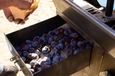 Demir ocakta kestane kızartıyorum, sonbaharda Portekiz sokak yemekleri, Lizbon, Portekiz