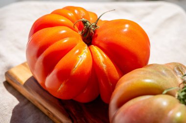 Tahta kutuda Provence 'den taze olgun Fransız domatesleri sebzeler.