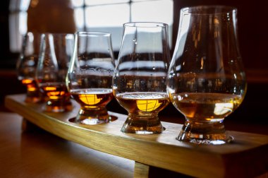 Flight of single malt scotch whisky in glasses served in bar in Edinburgh, UK, tasting of dram of whiskey