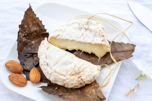 stock image French mountains cheese banon made in Alpes-de-haute-provence wrapped in chestnut leaves from unpasteurised goat milk