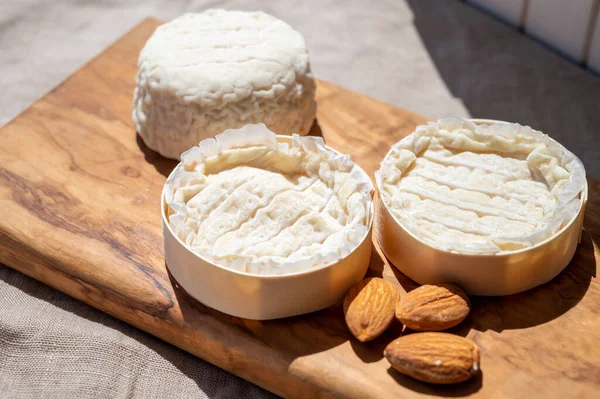 stock image French cheeses Rocamadour and Saint-Marcellin served on olive tree wooden plank with almonds on sunlights