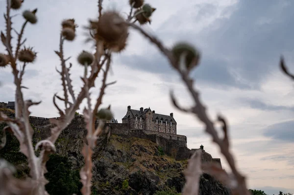 View Princes Street Old Town Castle Edinburgh City Dried Purple — Stockfoto